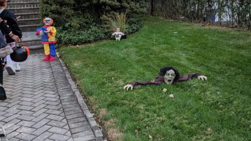 Joyce Road Park - Eastchester, NY