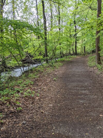 Twin Lakes County Park - Eastchester, NY