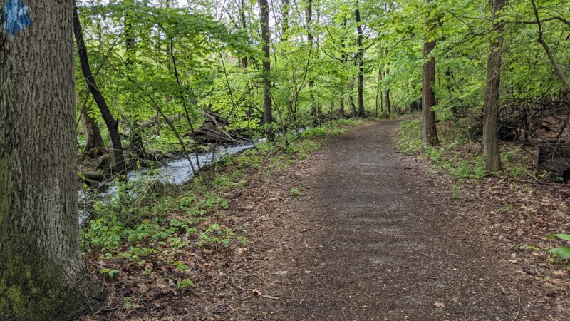Twin Lakes County Park - Eastchester, NY