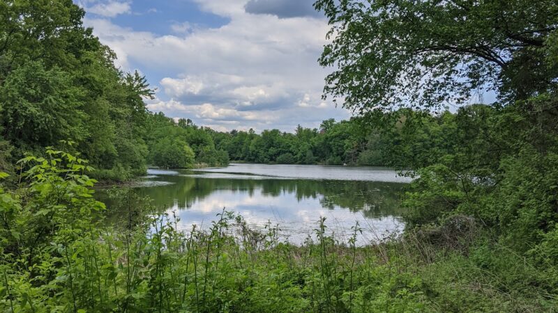 Twin Lakes County Park - Eastchester, NY