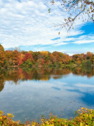 Twin Lakes County Park - Eastchester, NY