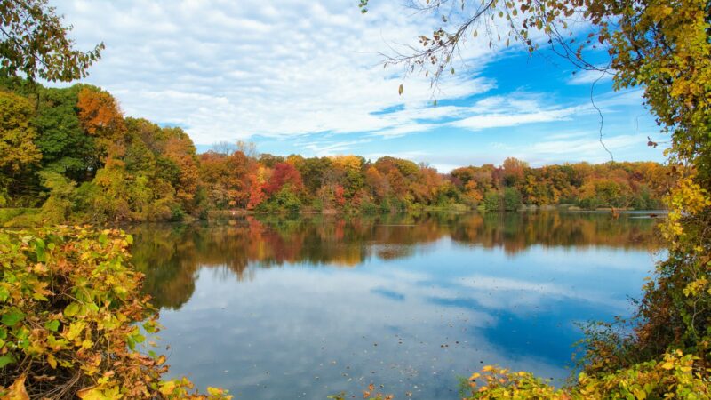 Twin Lakes County Park - Eastchester, NY