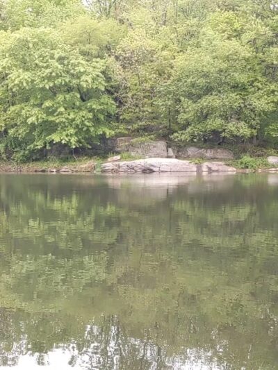 Twin Lakes County Park - Eastchester, NY