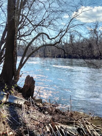 Hugh Moore Park - Easton, PA