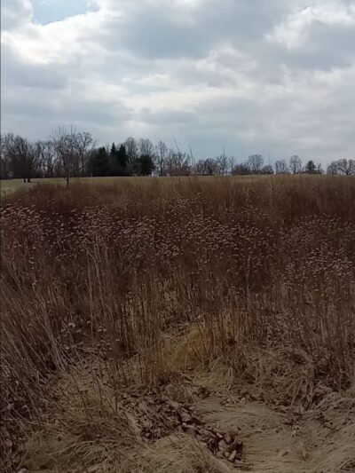 Louise Moore County park trailhead - Easton, PA