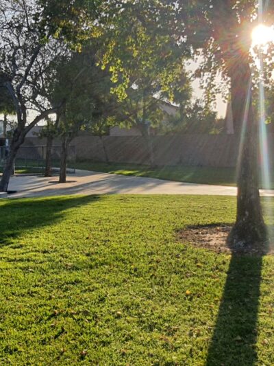 Harada Dog Park - Eastvale, CA