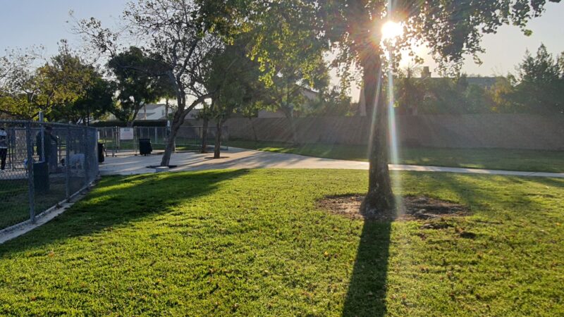 Harada Dog Park - Eastvale, CA