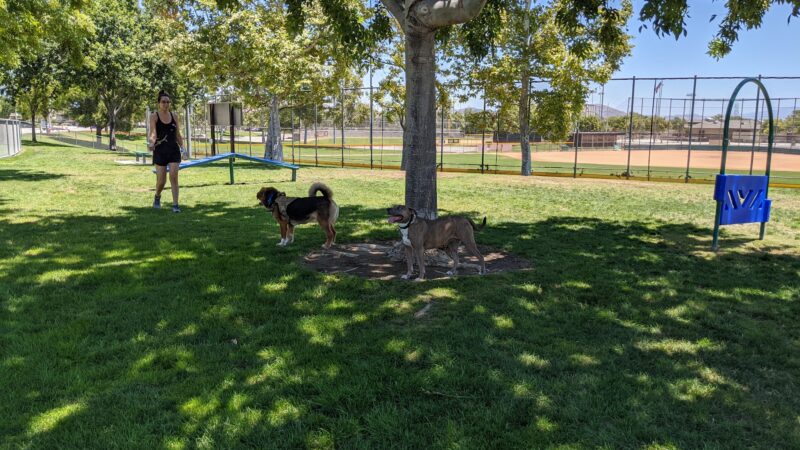 Harada Dog Park - Eastvale, CA