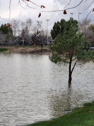 Harada Dog Park - Eastvale, CA