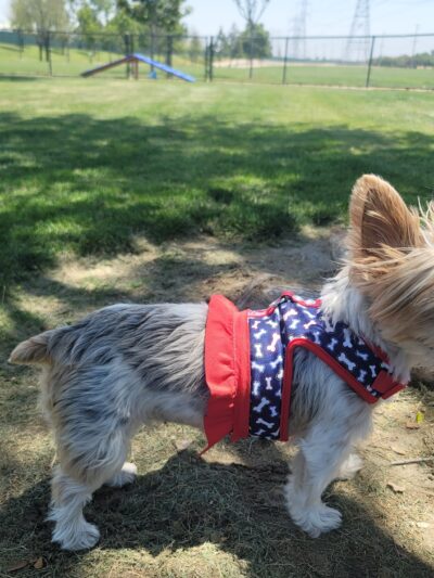 American Heroes Dog Park - Eastvale, CA