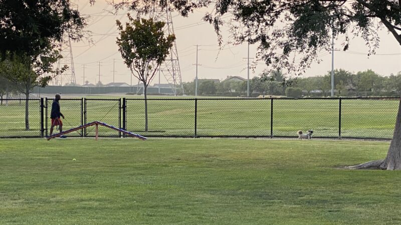 American Heroes Dog Park - Eastvale, CA