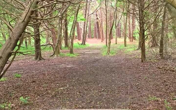 Indiantown Park - Eastville, VA
