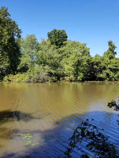Wampum Park - Eatontown, NJ