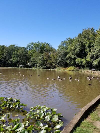 Wampum Park - Eatontown, NJ