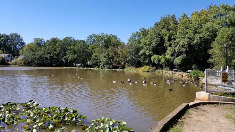 Wampum Park - Eatontown, NJ