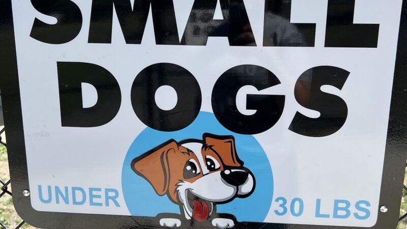 Ebensburg Dog Park - Ebensburg, PA