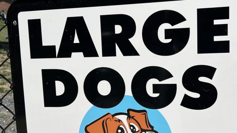 Ebensburg Dog Park - Ebensburg, PA