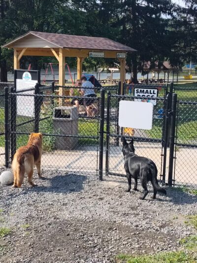 Ebensburg Dog Park - Ebensburg, PA