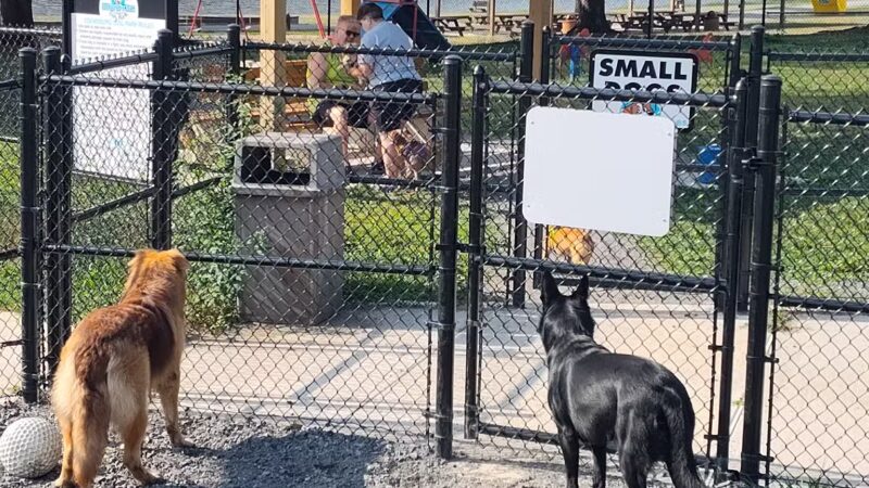 Ebensburg Dog Park - Ebensburg, PA