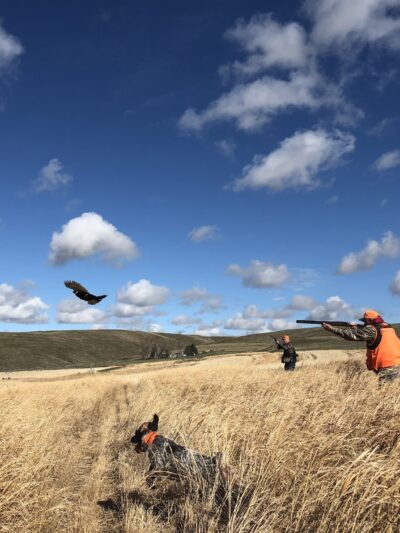 Horseshoe Curve Outdoors - Echo, OR