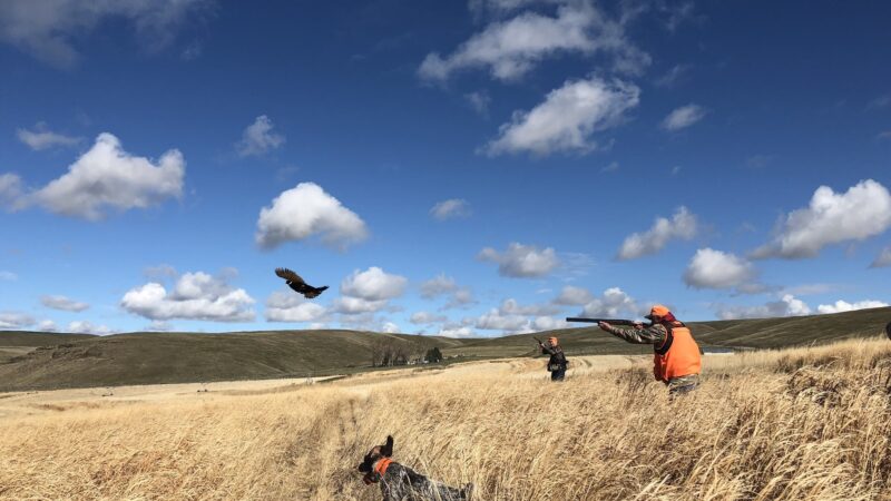 Horseshoe Curve Outdoors - Echo, OR