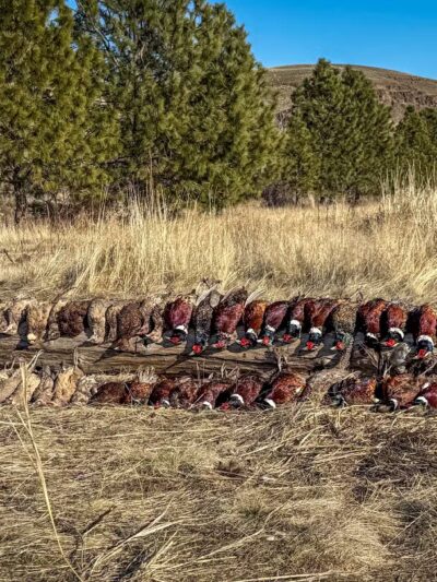 Horseshoe Curve Outdoors - Echo, OR