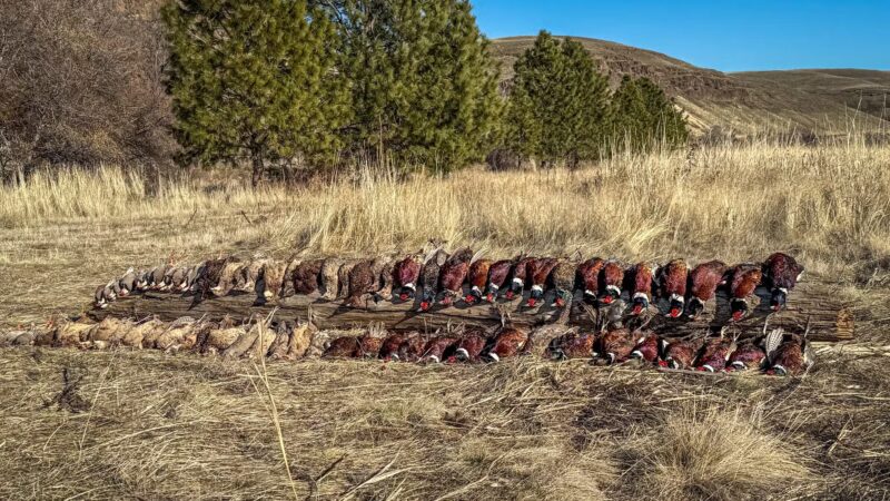 Horseshoe Curve Outdoors - Echo, OR
