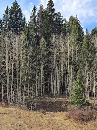 Flowing Park Reservior Trailhead - Eckert, CO