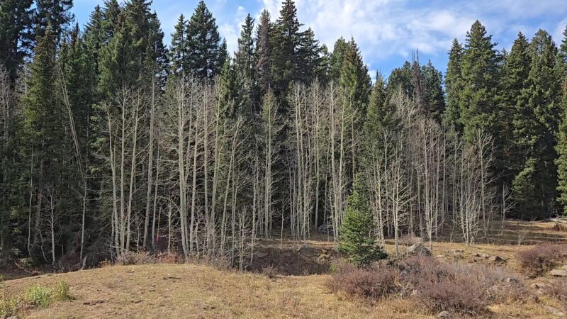 Flowing Park Reservior Trailhead - Eckert, CO