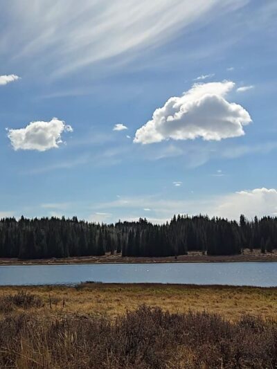Flowing Park Reservior Trailhead - Eckert, CO