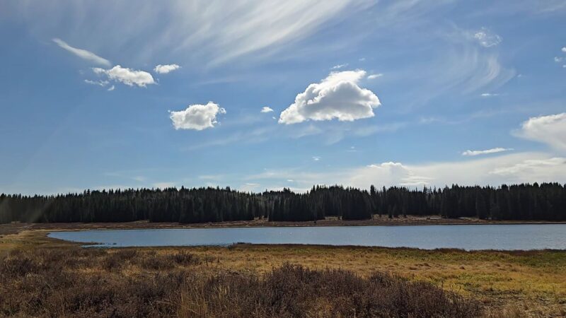 Flowing Park Reservior Trailhead - Eckert, CO
