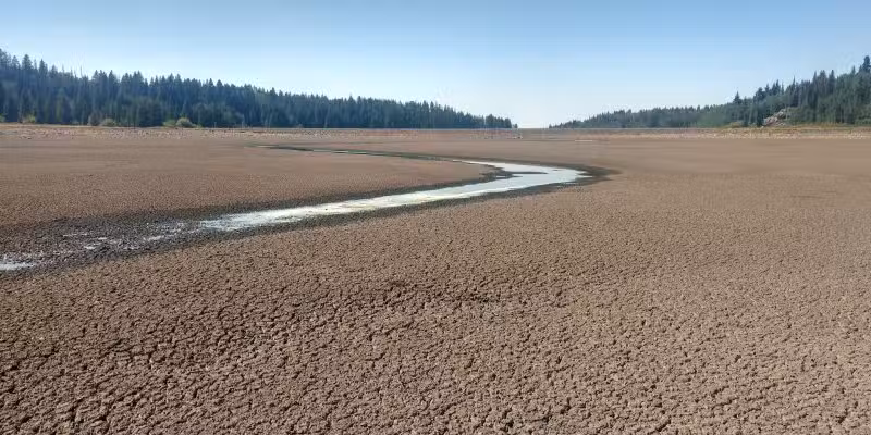 Flowing Park Reservior Trailhead - Eckert, CO