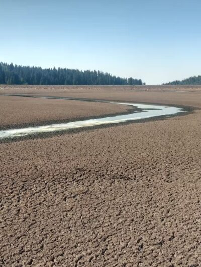 Flowing Park Reservior Trailhead - Eckert, CO