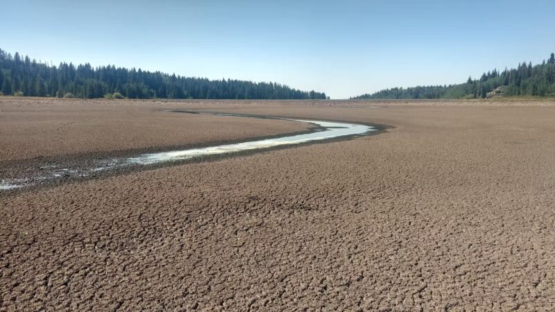 Flowing Park Reservior Trailhead - Eckert, CO