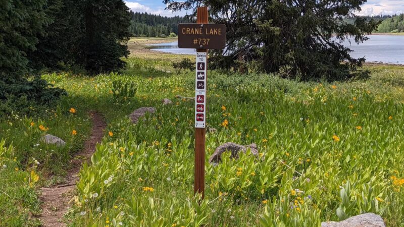 Flowing Park Reservior Trailhead - Eckert, CO