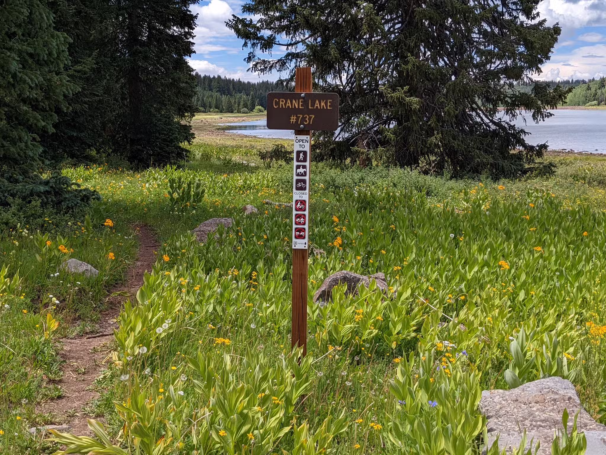 Flowing Park Reservior Trailhead - Eckert, CO