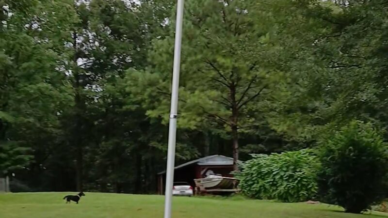 Aaron Park - Eclectic, AL