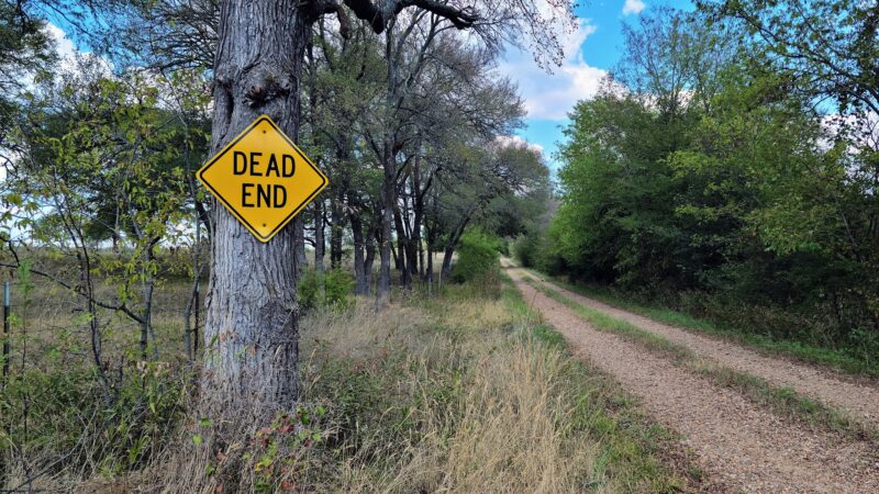 Ector City Park - Ector, TX