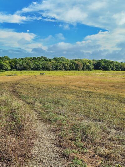 Ector City Park - Ector, TX