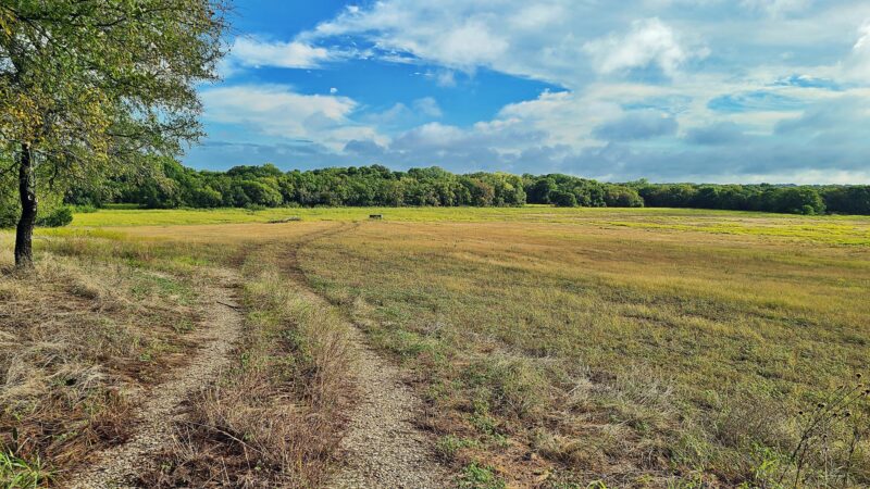 Ector City Park - Ector, TX