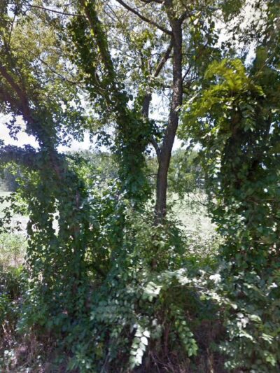 Ector City Park - Ector, TX