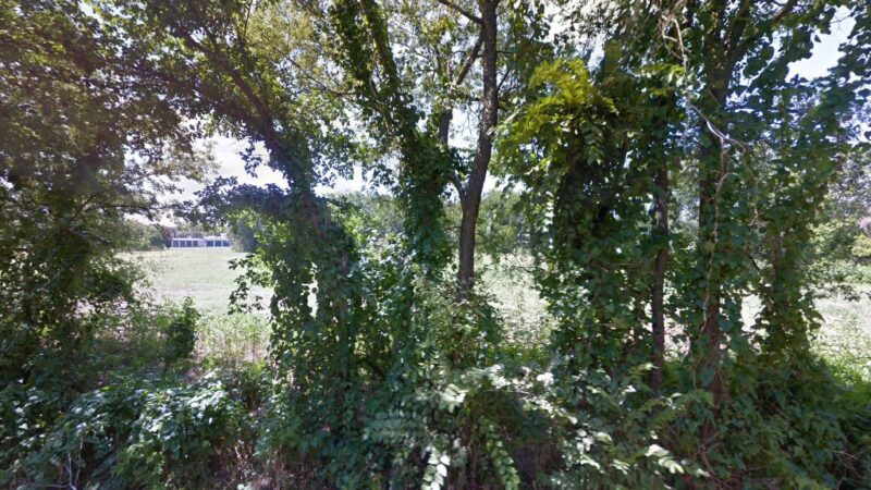 Ector City Park - Ector, TX