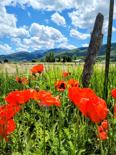 Eden Park - Eden, UT