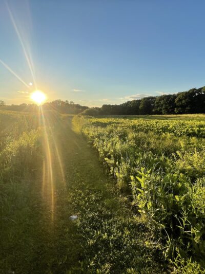 Singing Meadows Preserve - Edgecomb, ME