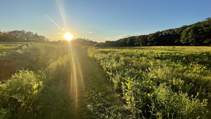 Singing Meadows Preserve - Edgecomb, ME