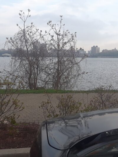 Edgewater Dog Park - Edgewater, NJ