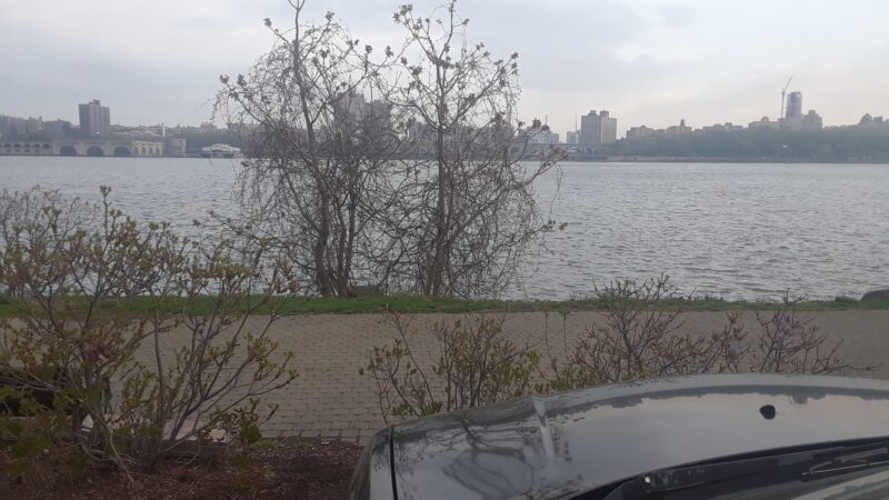 Edgewater Dog Park - Edgewater, NJ