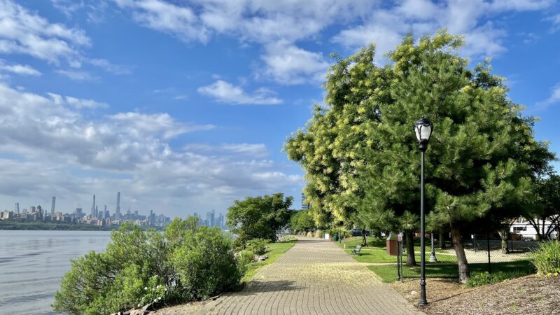 Edgewater Dog Park - Edgewater, NJ