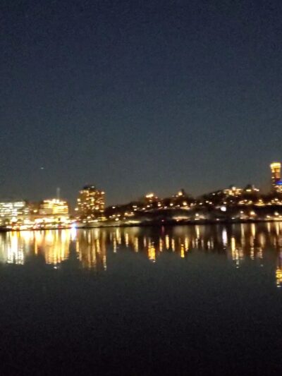 Edgewater Dog Park - Edgewater, NJ