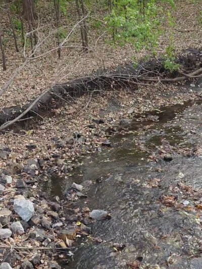 Heights Park - Edina, MN